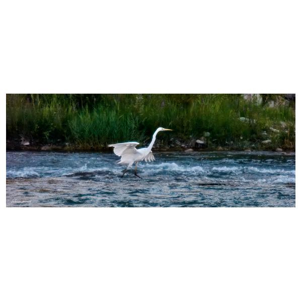 PHOTO84, CLUB, 84 , LUBERON